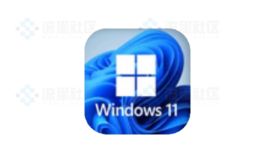 小修Windows11 22000.2538专业版-流星社区