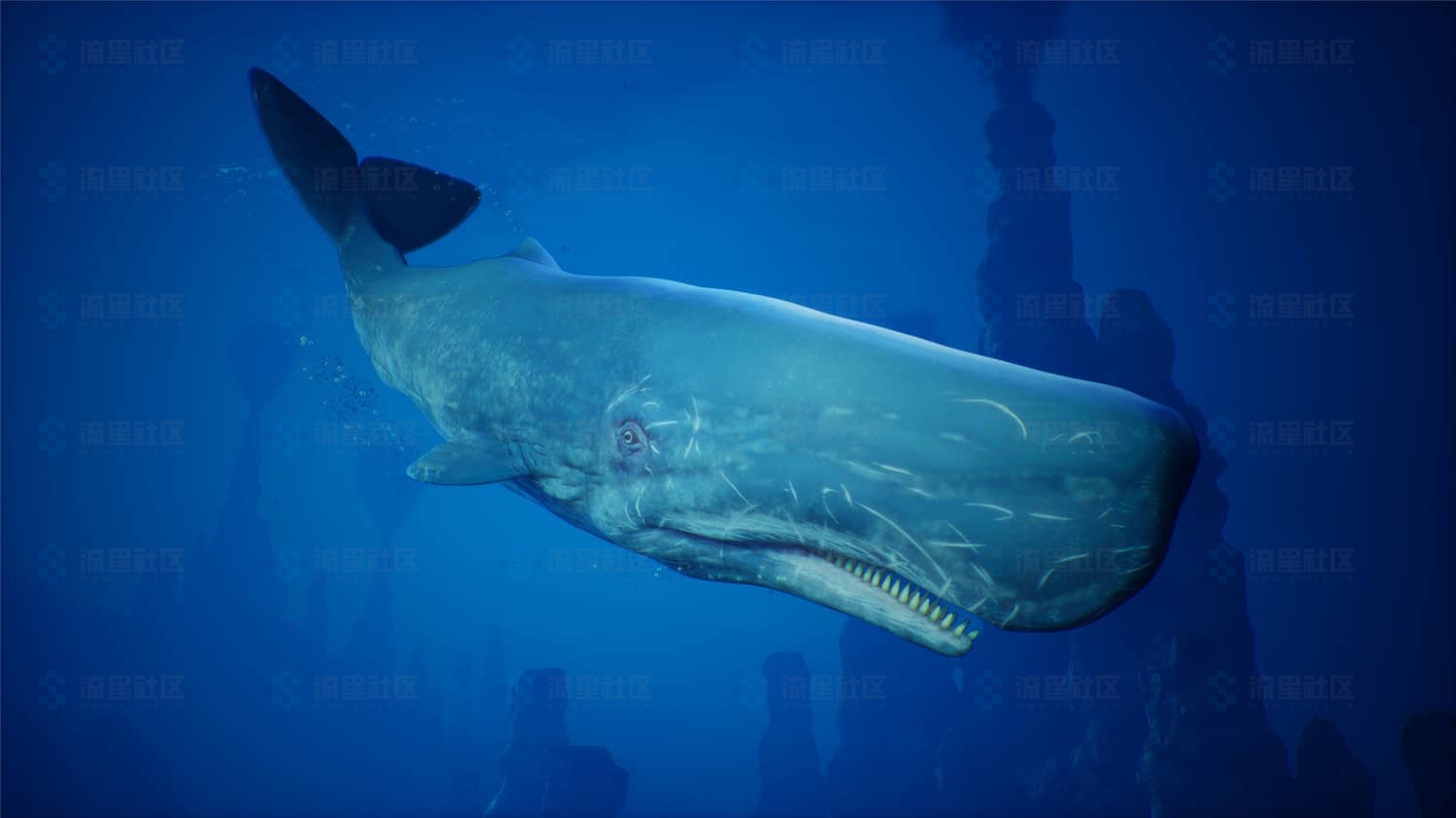图片[7]-《食人鲨》v20221015中文版-流星社区